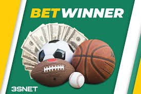 BetWinner Bookmaker Your Ultimate Guide to Online Betting